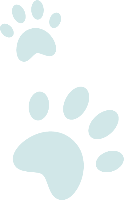 blue paws bottom