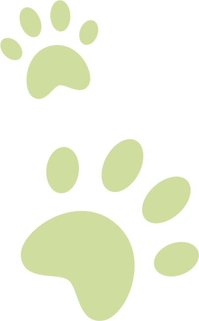green paws bottom