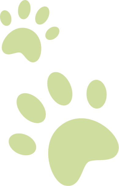 green paws top