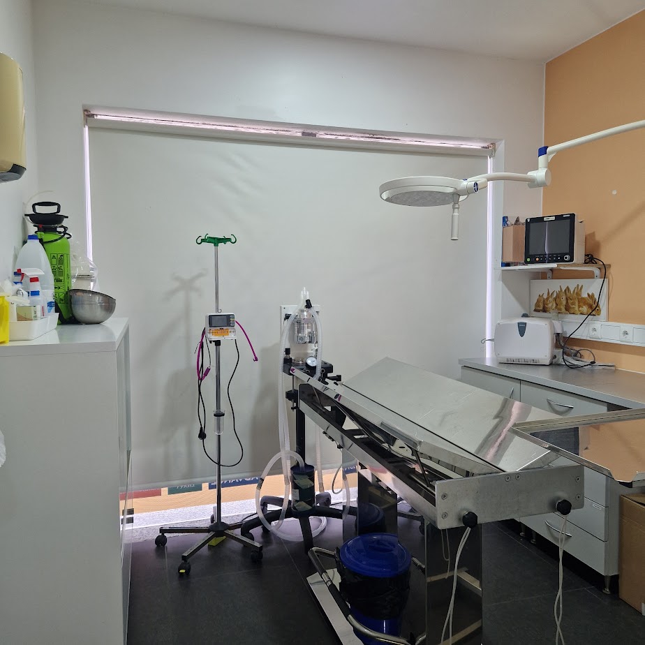 Cirurgia